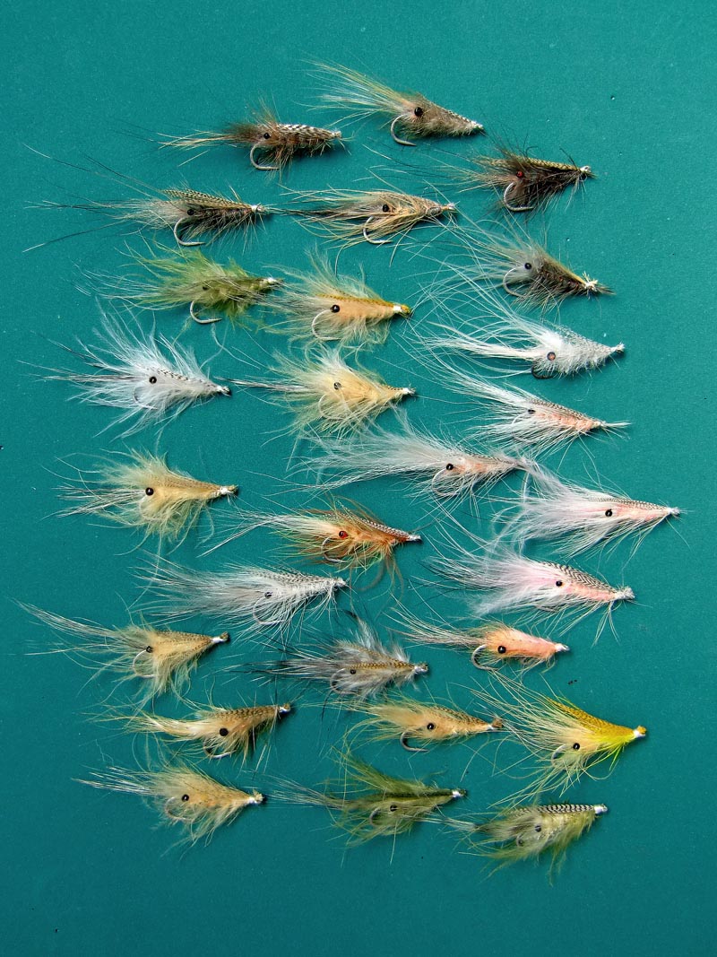 Simple Shrimps